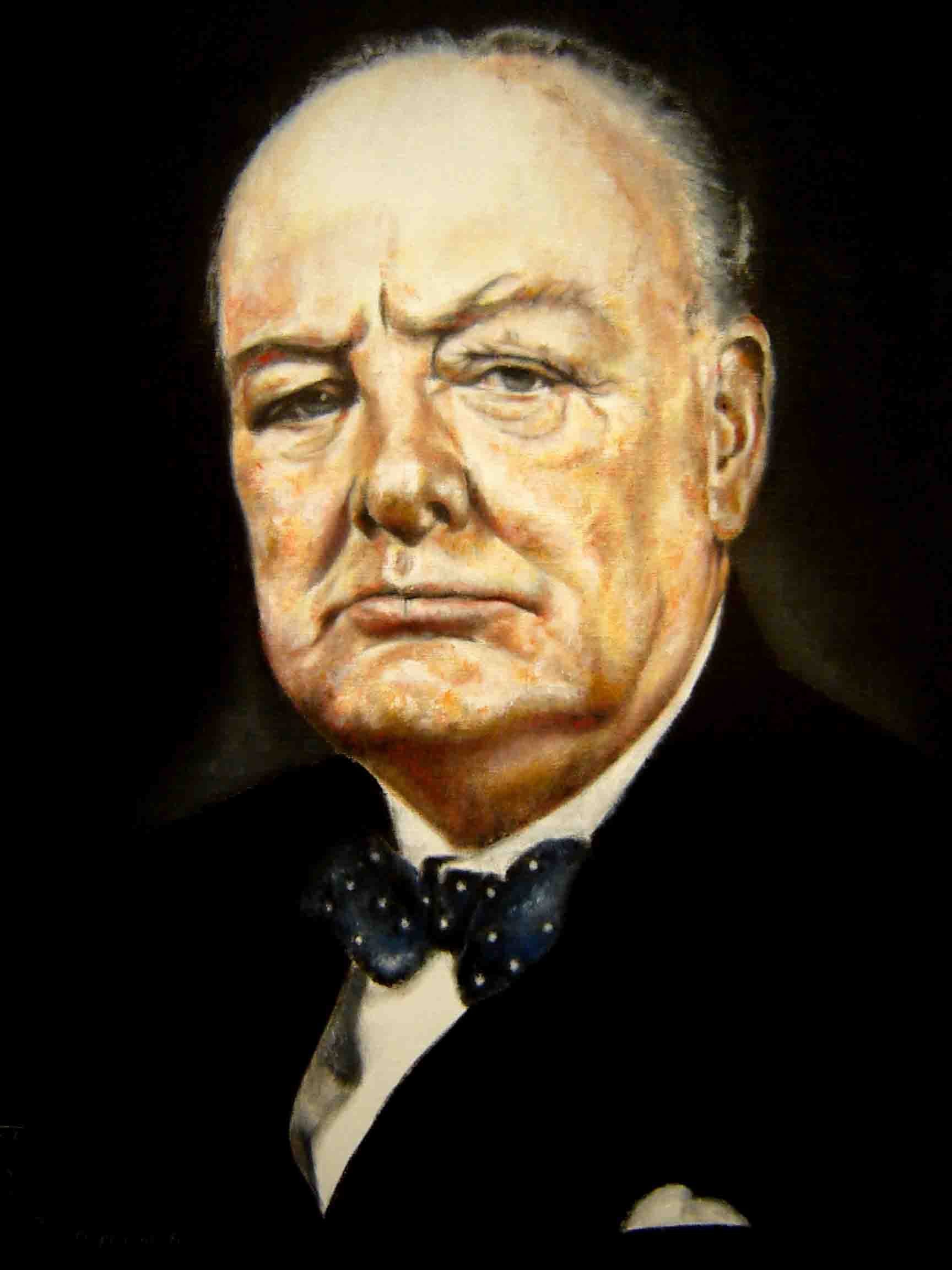 Winston Spencer Churchill - Donald Sheridan